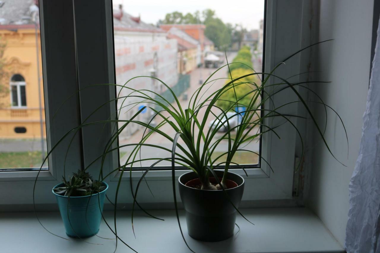 Apartment F6 Осиек Экстерьер фото